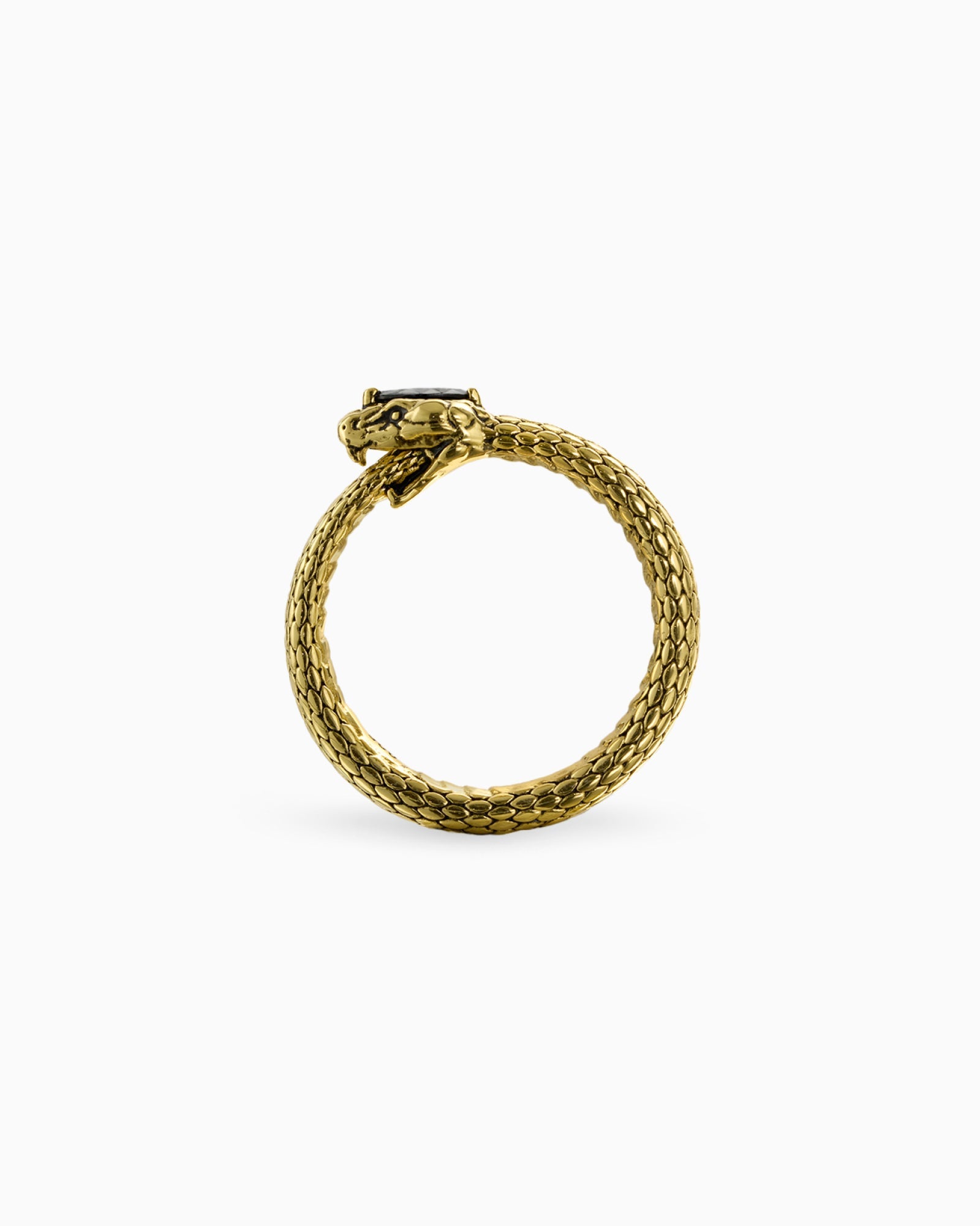 Demonia Ouroboros Ring π€