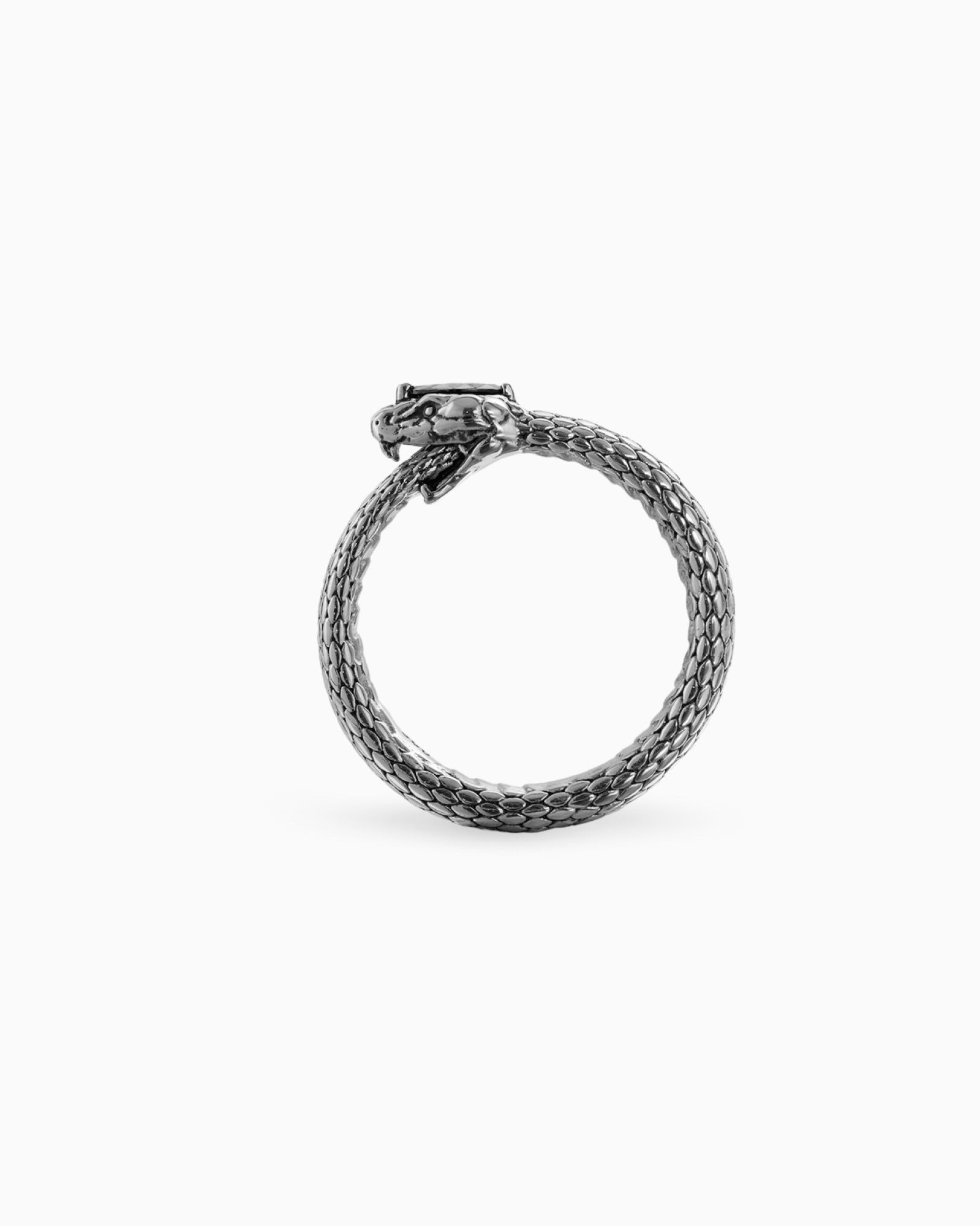 Demonia Ouroboros Ring π€