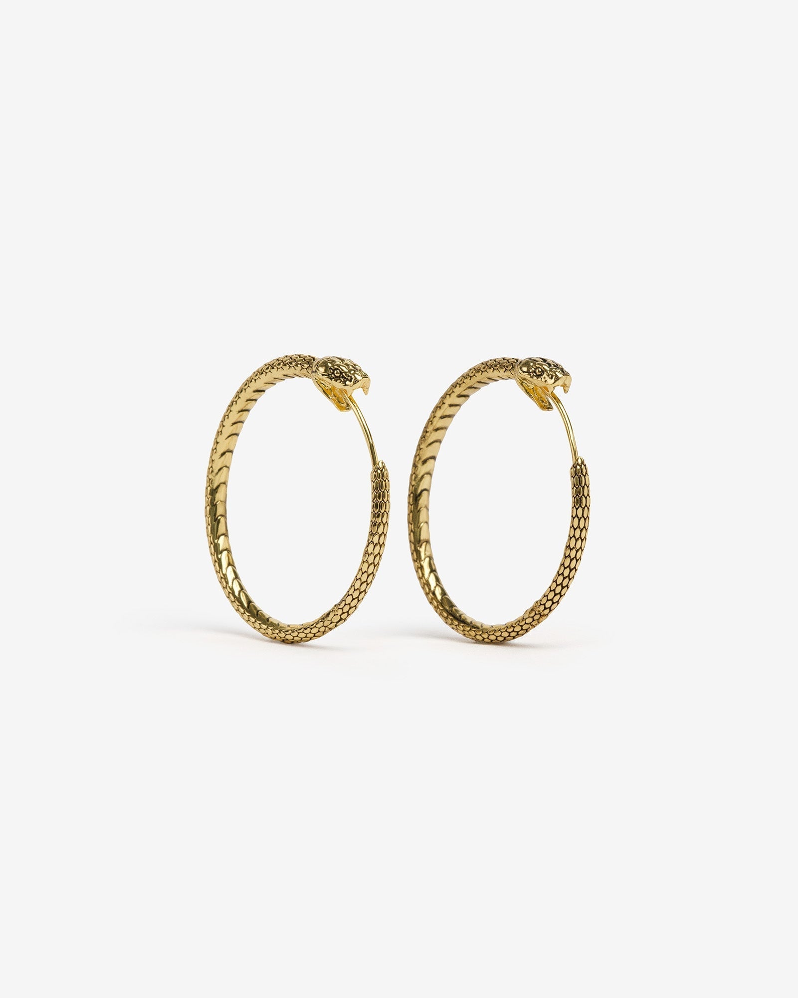 Demonia Ouroboros Earrings π€