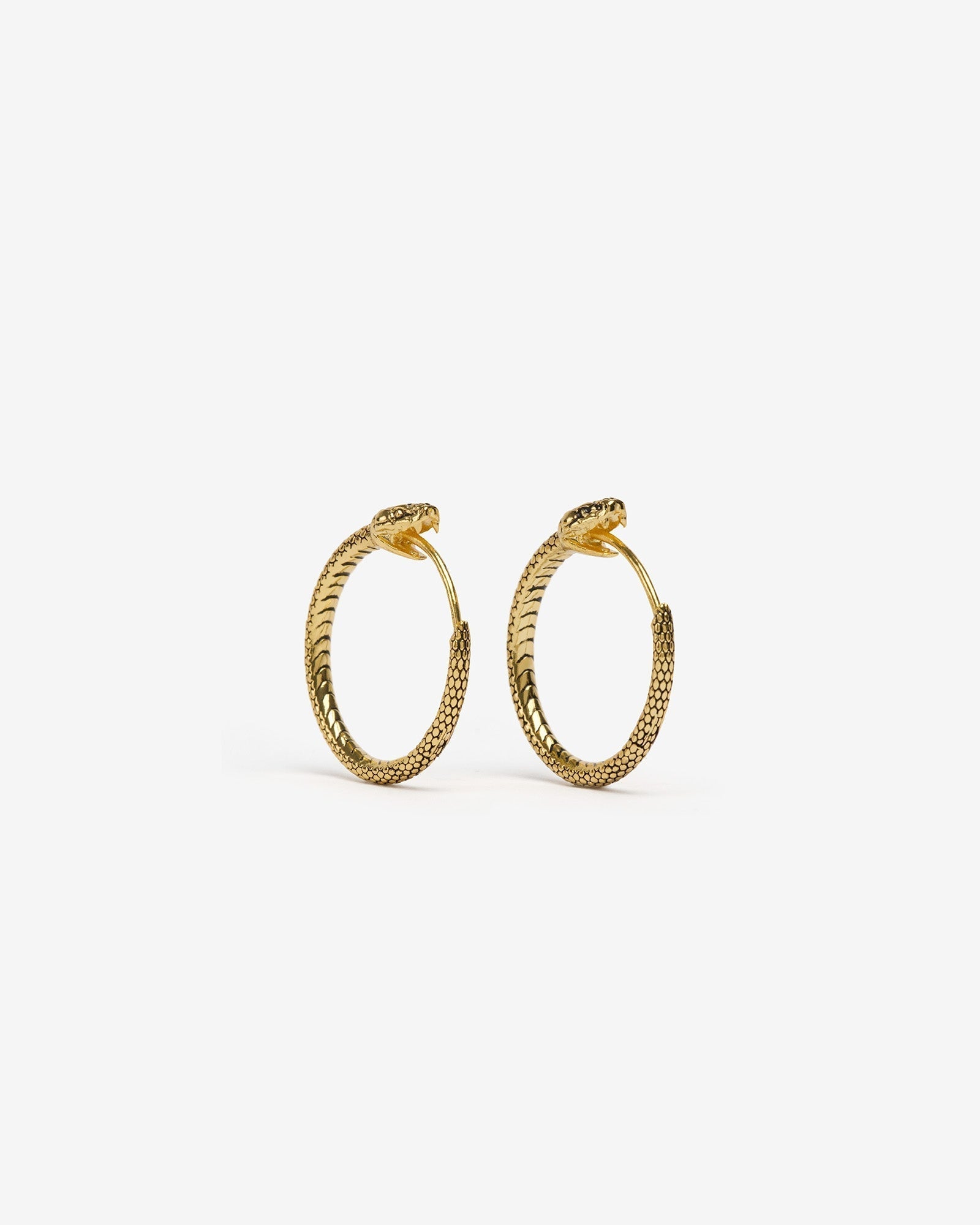 Demonia Ouroboros Earrings π€