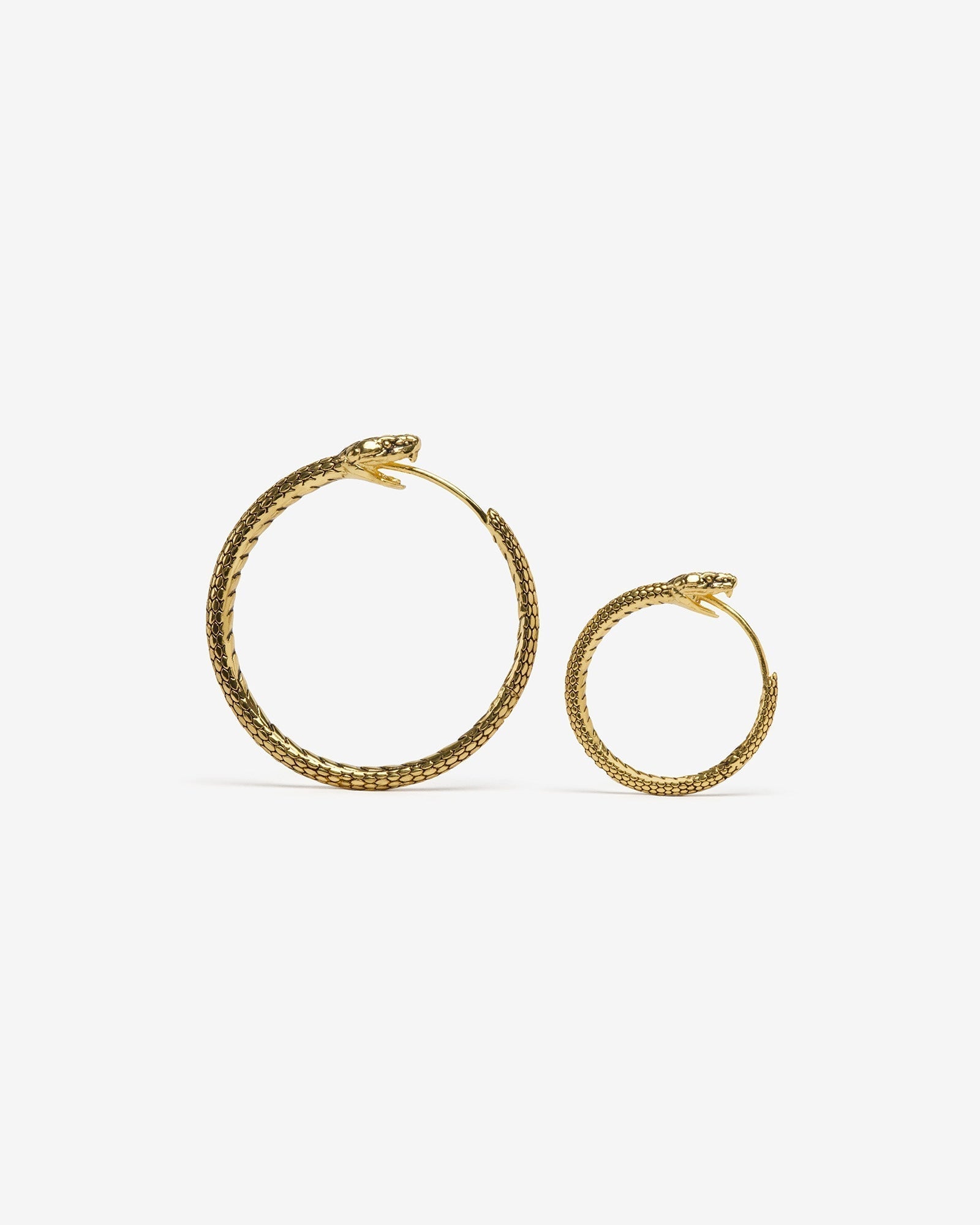 Demonia Ouroboros Earrings π€