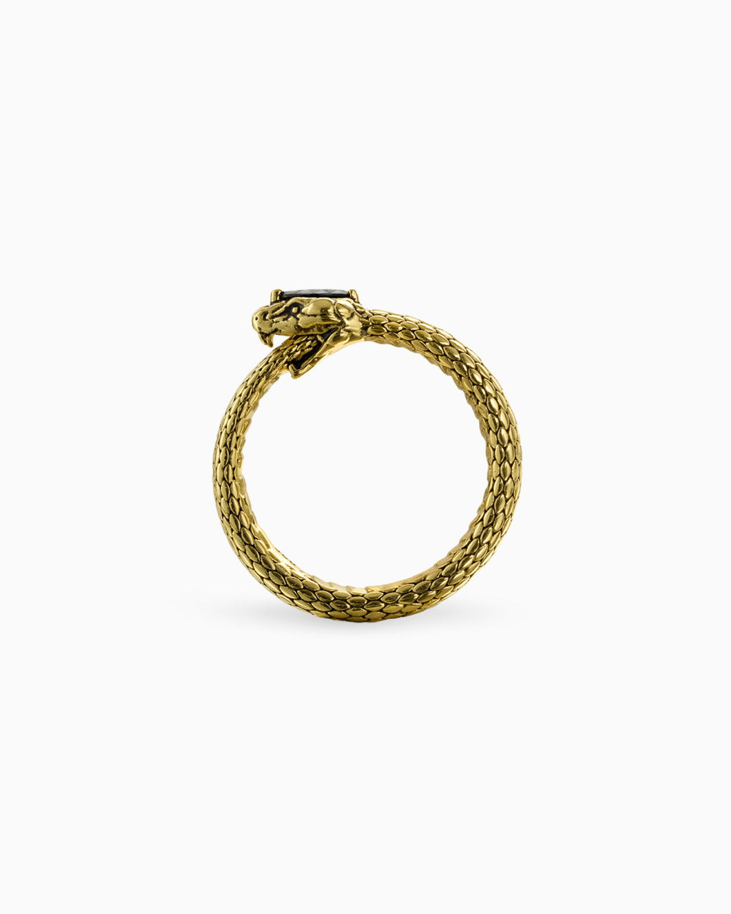 Demonia Ouroboros Ring 🖤